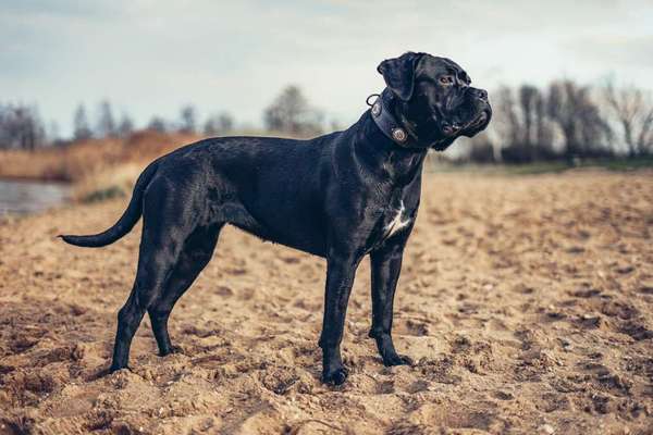 Austausch zur Fotografie-Beitrag-Bild
