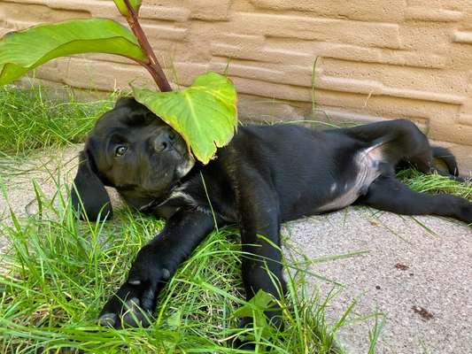 Sie werden so schnell erwachsen ...-Beitrag-Bild