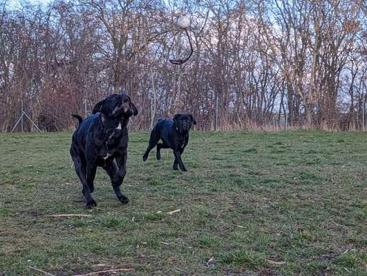 Dogorama Photo Challenge - Rund-Beitrag-Bild