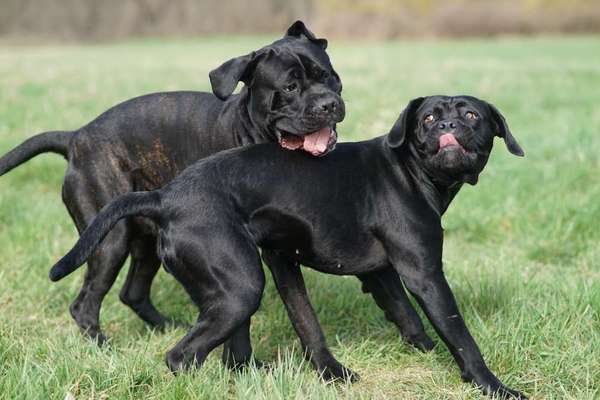 Austausch zur Fotografie-Beitrag-Bild