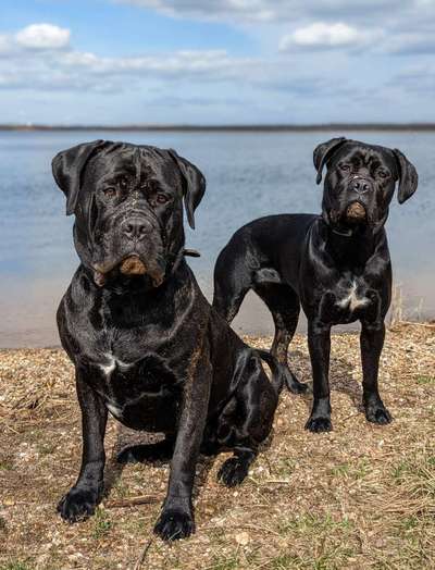 Austausch zur Fotografie-Beitrag-Bild