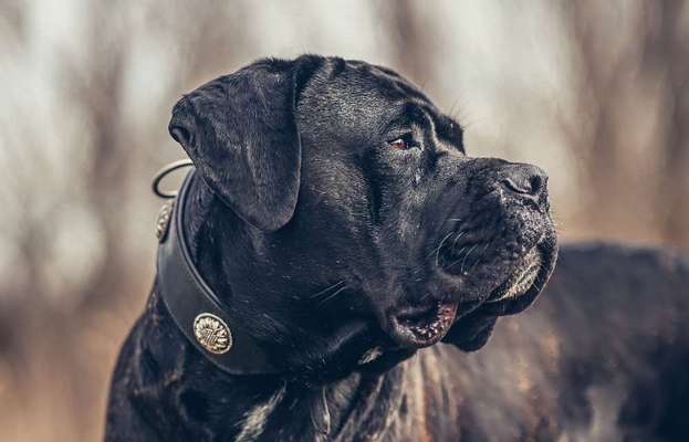Austausch zur Fotografie-Beitrag-Bild