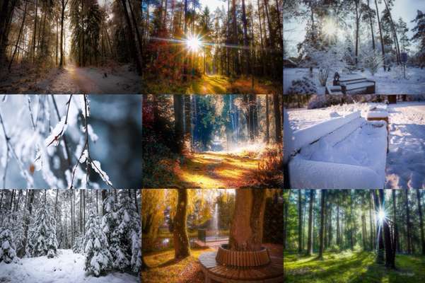 Austausch zur Fotografie-Beitrag-Bild