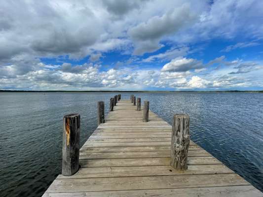 Die wunderschöne Welt mit Hund.-Beitrag-Bild