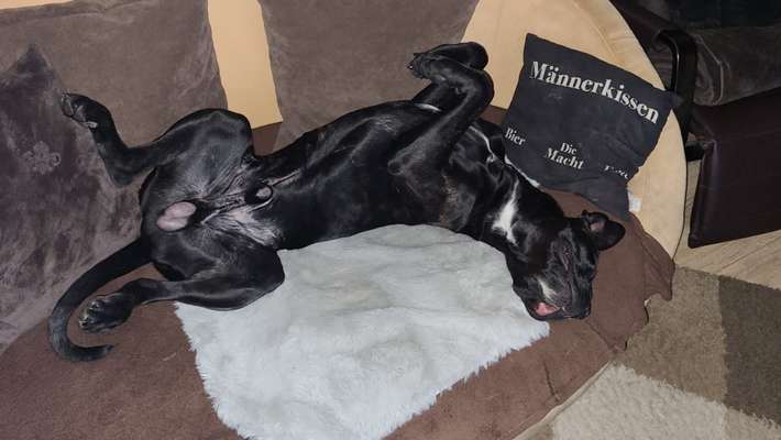 Fotochallenge Nr.65-Beitrag-Bild