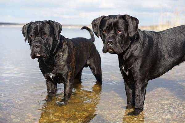 Austausch zur Fotografie-Beitrag-Bild