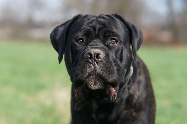 Austausch zur Fotografie-Beitrag-Bild
