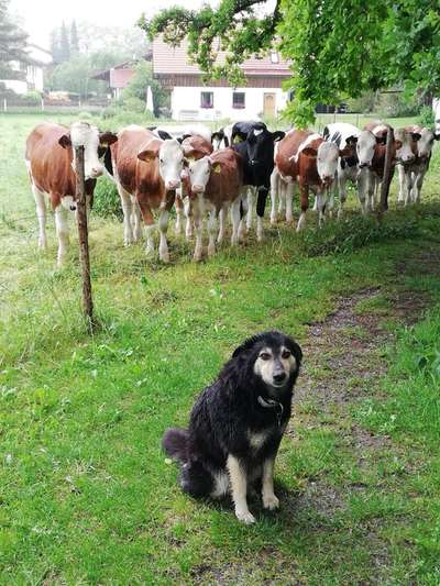 Fotochallenge Nr. 67: Euer Lieblingsbild-Beitrag-Bild