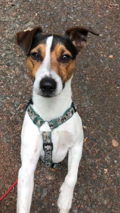 Fotochallange Nr. 57     PORTRÄT.   Beendet!!!!!!!!-Beitrag-Bild