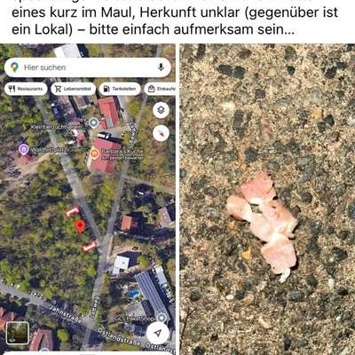 Giftköder-"Speck"...???!!???-Bild