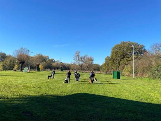 Hundetreffen-Gruppenarbeit, Unterordnung und IGP-Bild