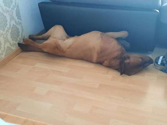 Verrückte Schlafpositionen-Beitrag-Bild