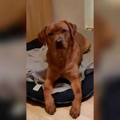 Fotochallange Nr. 57     PORTRÄT.   Beendet!!!!!!!!-Beitrag-Bild