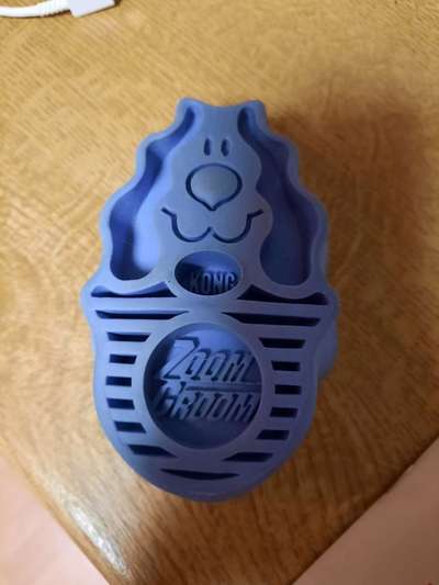 Labradorfans-Beitrag-Bild