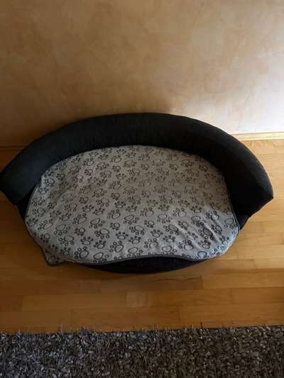 Erster Urlaub mit Junghund-Beitrag-Bild