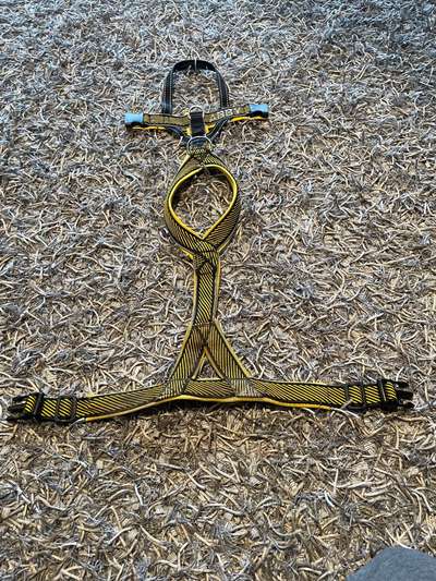 Wie sitzt mein Geschirr?-Beitrag-Bild