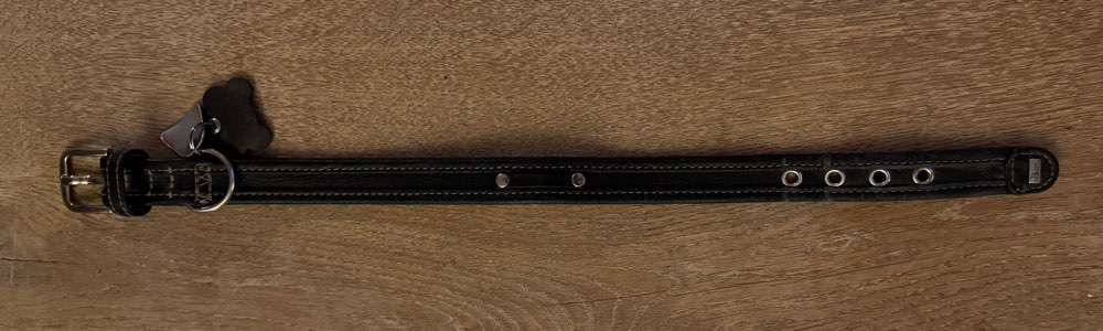 Welches Halsband trägt dein Hund und warum dieses?-Beitrag-Bild