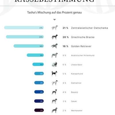 HSH abgeben?-Beitrag-Bild