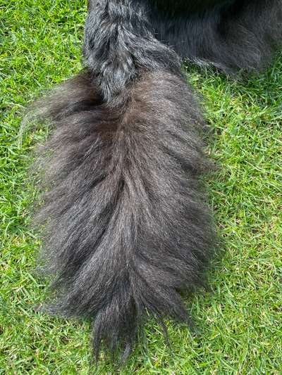 Dogorama Photo Challenge - Details Ganz nah-Beitrag-Bild