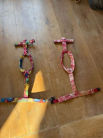 Erfahrungen mit Step-in-Geschirr-Beitrag-Bild