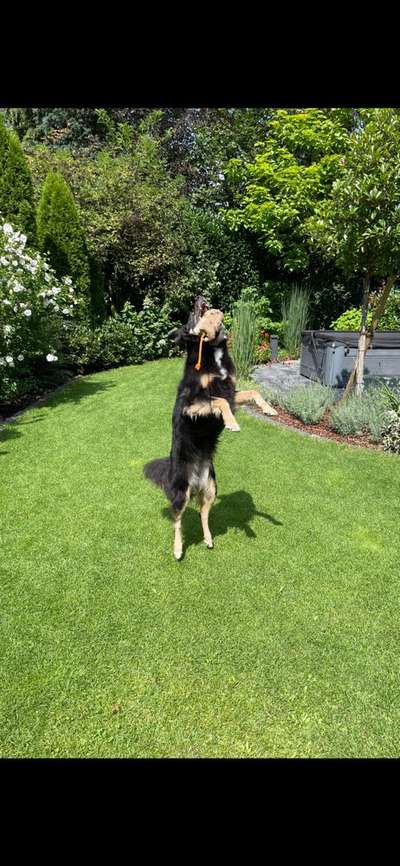 FOTO CHALLENGE Thema ,,durchdrehen"-Beitrag-Bild