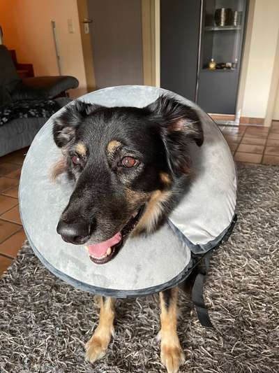 Wunde am Auge-Beitrag-Bild