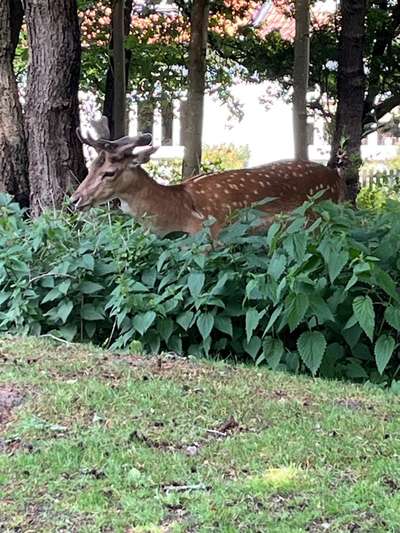 Was hat euch heute gefreut?-Beitrag-Bild