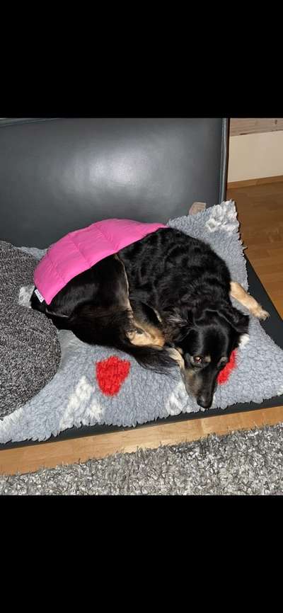 21. Farben / Foto Challenge - Neon / Leuchtfarben-Beitrag-Bild