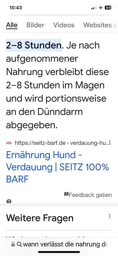 Meisenknödel samt Netz gefressen-Beitrag-Bild