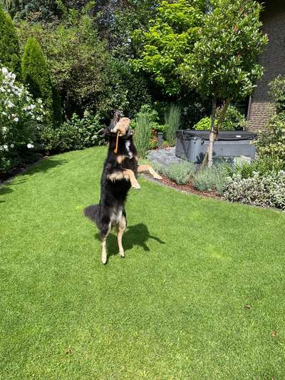 60. Handy Fotochallenge  -gleich schnapp ich es--Beitrag-Bild