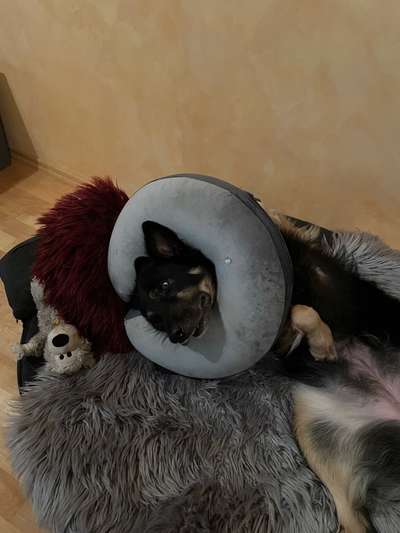 Wunde am Auge-Beitrag-Bild