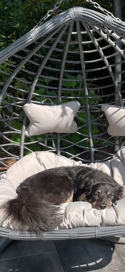 Fotochallenge Glanzbilder,du glänzt so schön-Beitrag-Bild