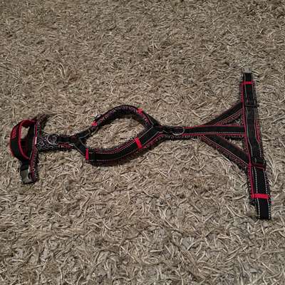 Geschirr anziehen-Beitrag-Bild