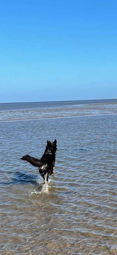 69. Handy-Fotochallenge: Soundtrack-Beitrag-Bild