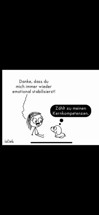 Hunde Memes-Beitrag-Bild