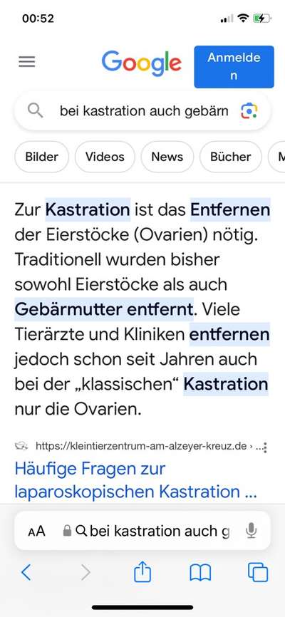 Läufigkeit trotz Kastration?-Beitrag-Bild