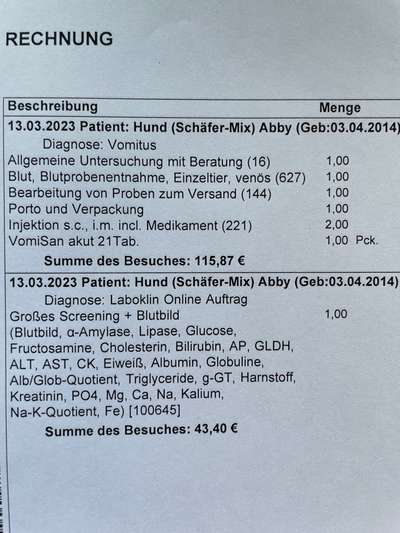 Blutbild - Welche Werte sollte man checken lassen beim Hund?-Beitrag-Bild