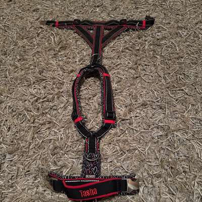 Geschirr anziehen-Beitrag-Bild