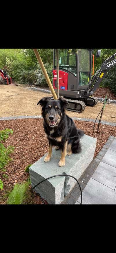 56. Handy Foto Challenge - Grosse Maschinen-Beitrag-Bild