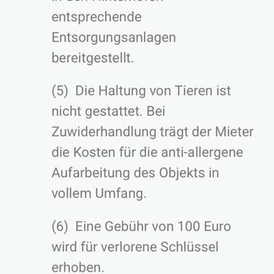 Silvester ohne Knallerei-Beitrag-Bild