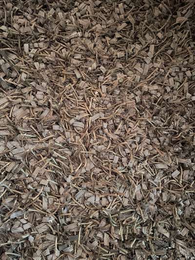 Wohnen mit Hund/ Hunden-Beitrag-Bild