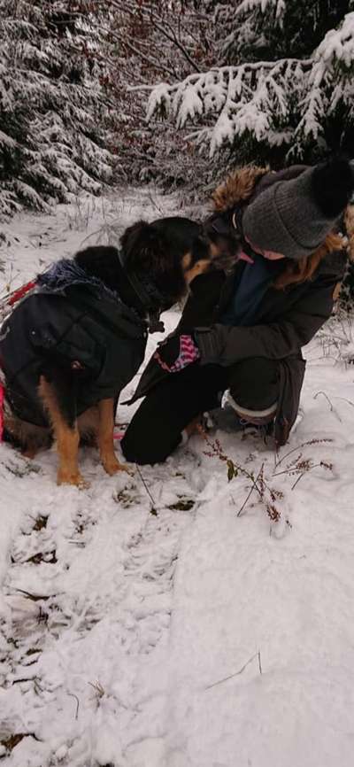 Dogorama Photo Challenge - Liebesbeweis-Beitrag-Bild