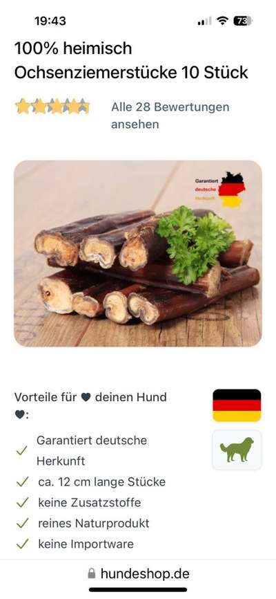 „Werwolfsyndrom“ bei Hunden – Was ist mit unseren Kauknochen los? 🐺🦴-Beitrag-Bild