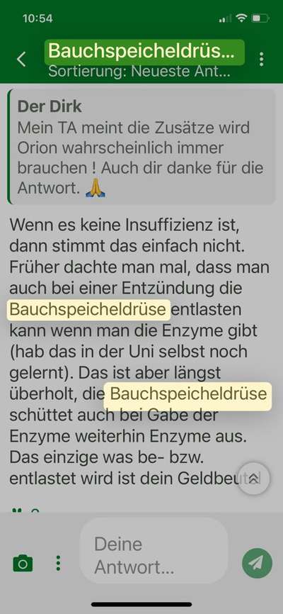 Fragen für Auskenner zu Pankreas und Rohfleisch-Beitrag-Bild