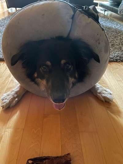 Wunde am Auge-Beitrag-Bild