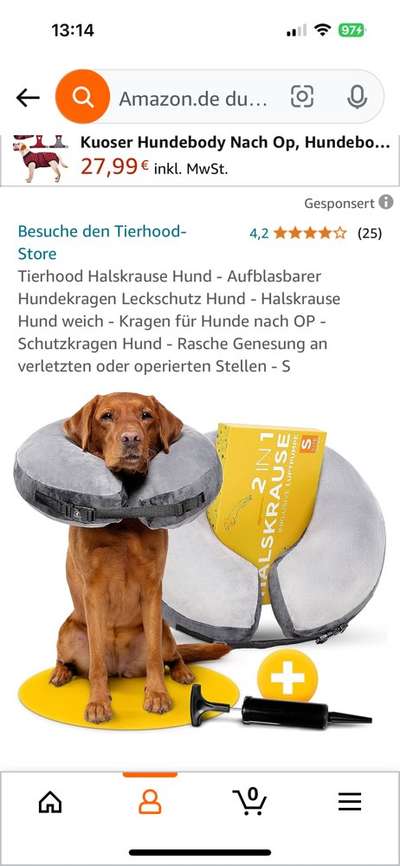 Freddys Kummerkasten-Beitrag-Bild