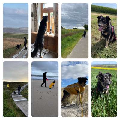 45. Collage Challenge - Lieblingsurlaubs/ Ausflugsziele-Beitrag-Bild