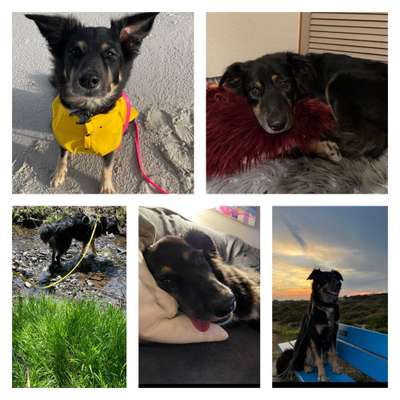 48. Collagen Challenge: Das Leben ist bunt-Beitrag-Bild