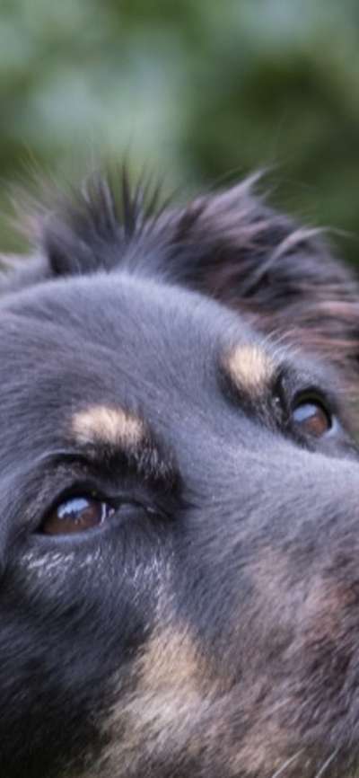 150. Foto Challaenge:  Die Augen, der Spiegel der Seele-Beitrag-Bild