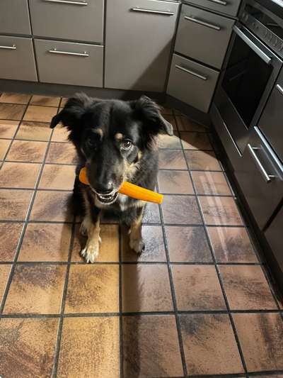 Koffer Packen: Spezial Weihnachtsedition-Beitrag-Bild